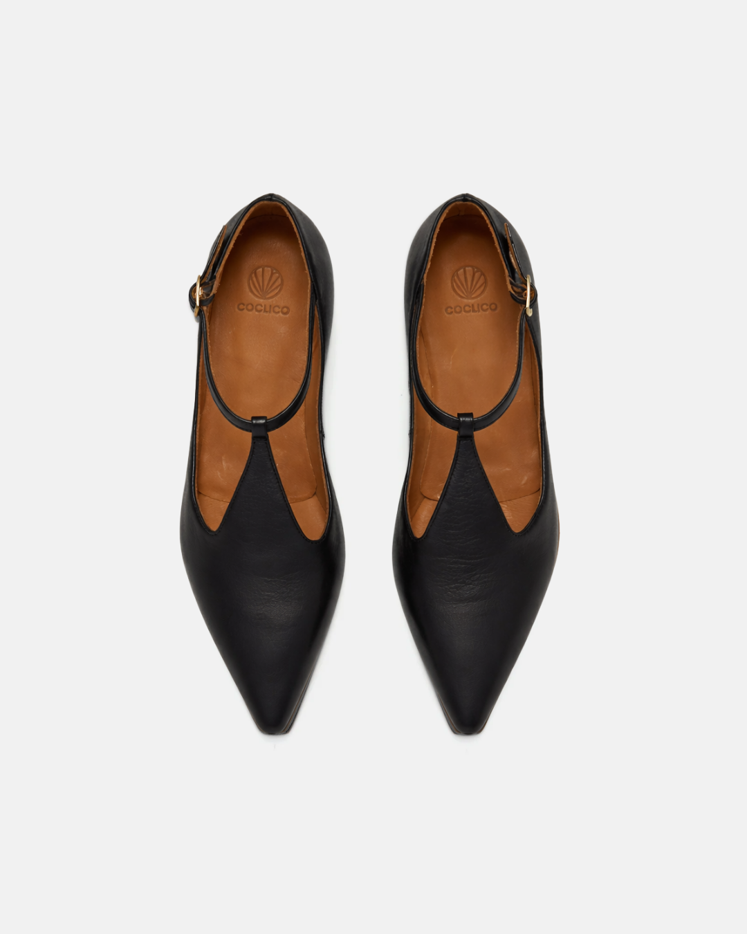 Coclico Celeste T-Strap Flat in black leather, a pointed toe flat with a T-strap across the vamp