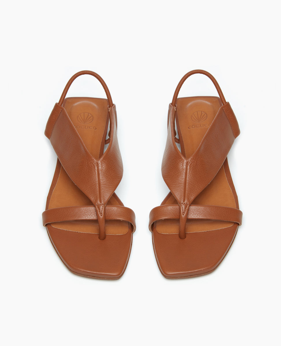 Front view of the Finch Sandal in Cuoio, featuring a wide-strap thong and a slim elasticized leather strap at the heel.