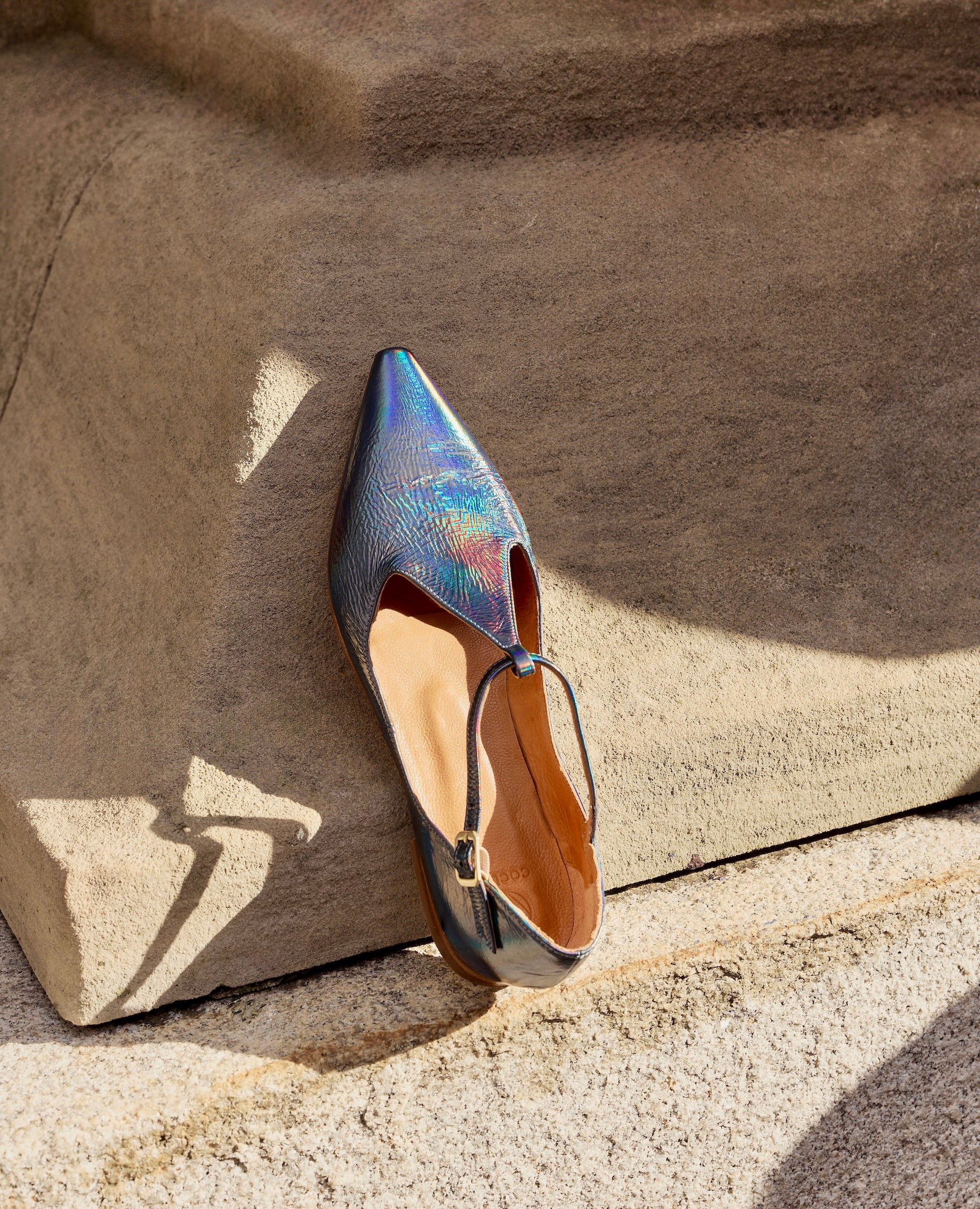 Iridescent shoe on a stone surface