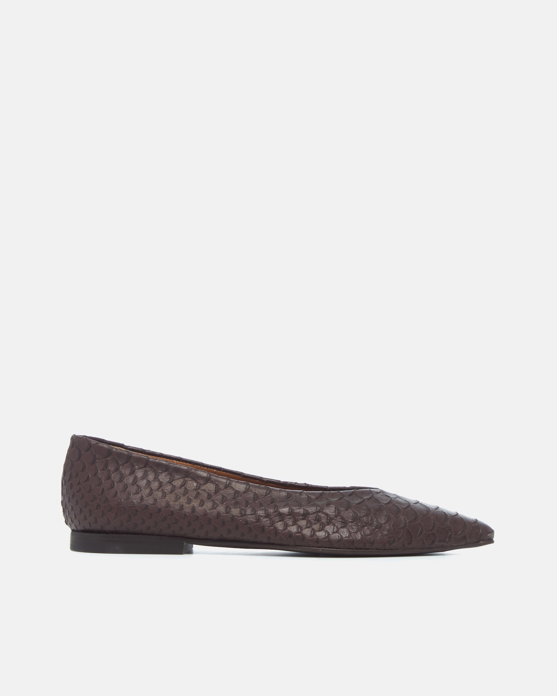Coclico Cabnal Ballet Flat in brown snake embossed leather, side view of a pointed toe flat