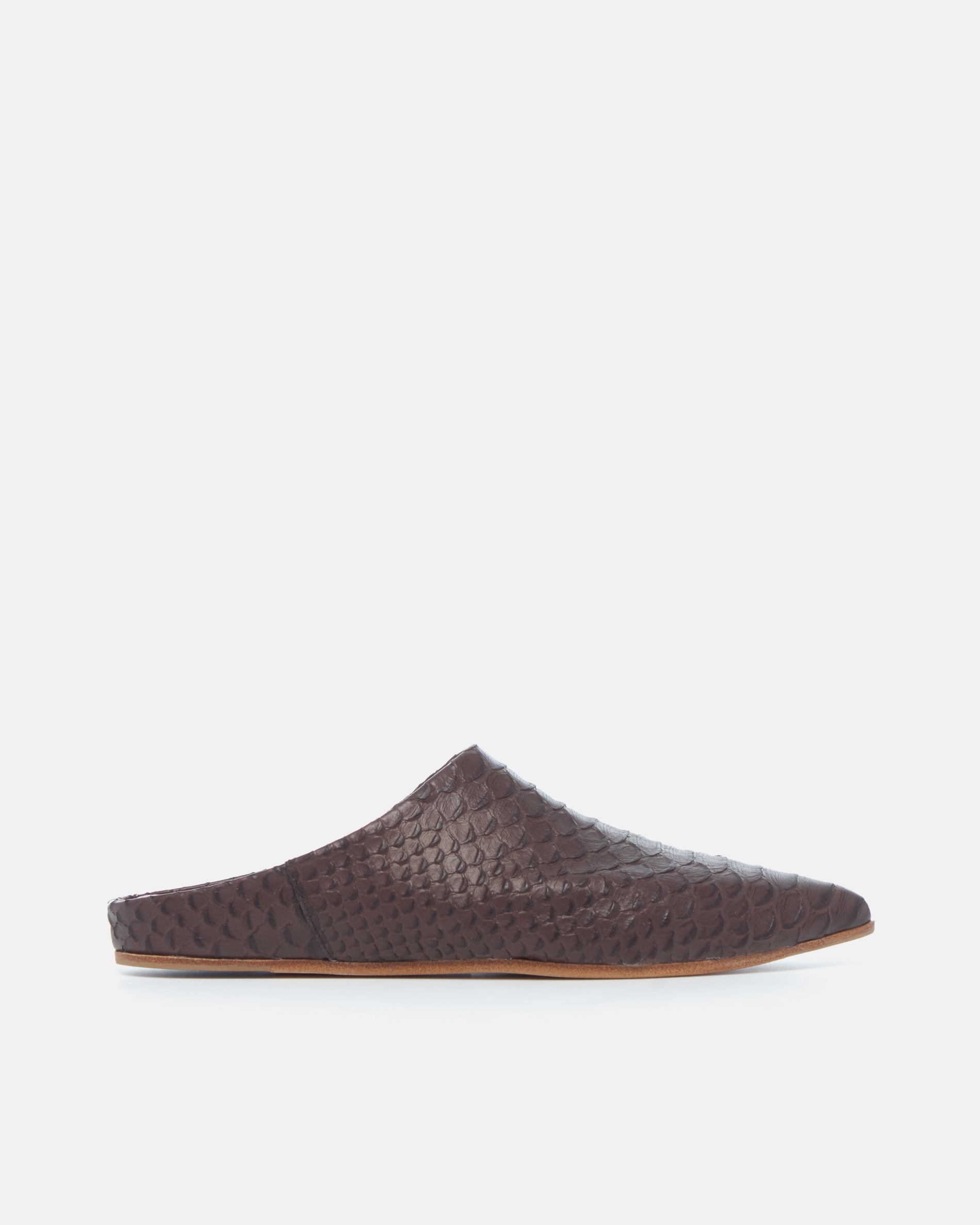 Coclico Danke Slide in brown snake embossed leather, side view of a pointed toe mule