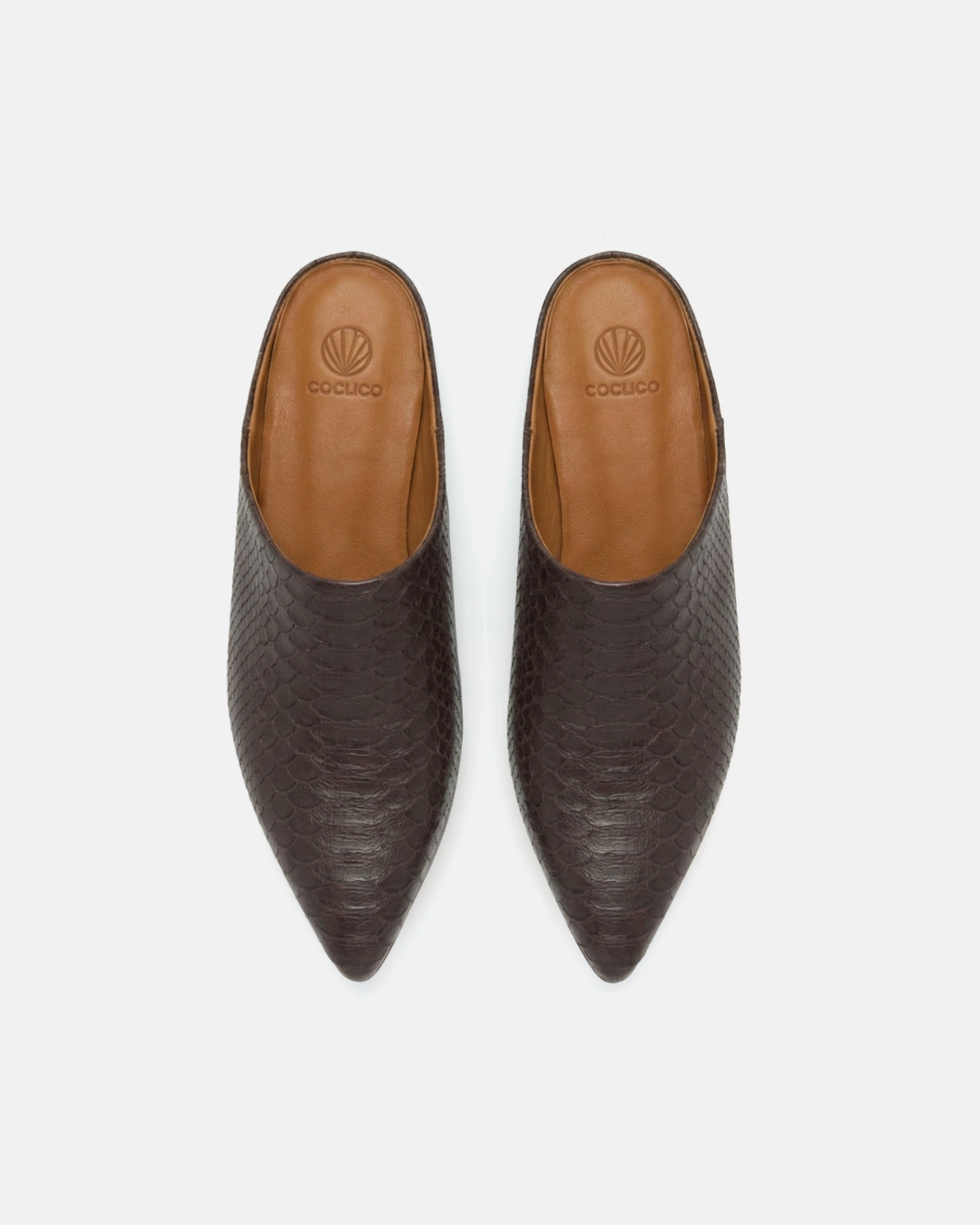 Coclico Danke Slide in brown snake embossed leather, a pointed toe backless mule