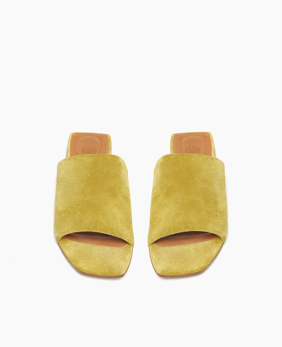 Top view: Coclico Ferhana Sandal in Certosa suede: flat slide-on style with one solid band of leather, squared-off at the toe and heel.