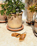 Coclico Moska woven cork wedge sandal in a courtyard with plants.  3