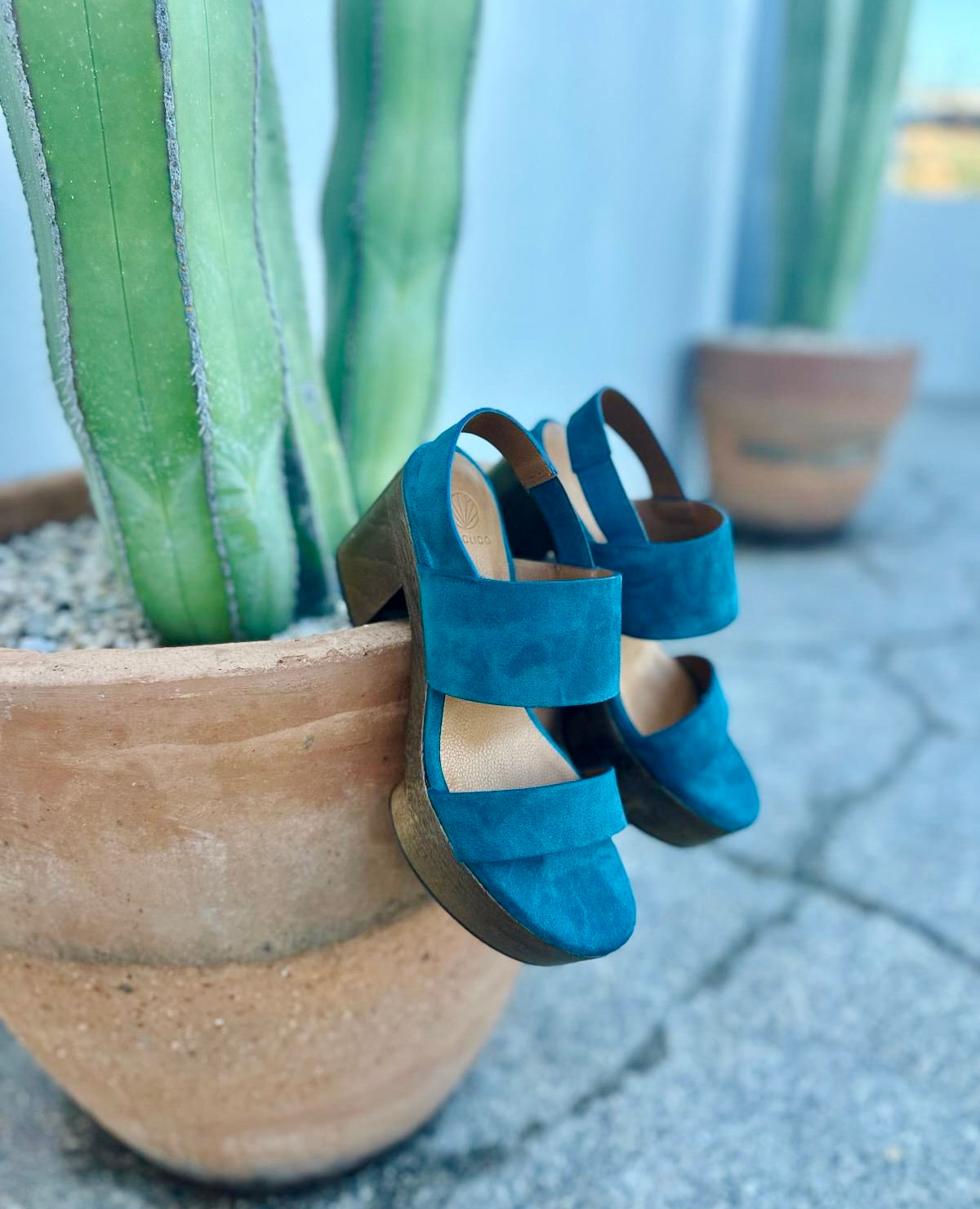 Oca Clog in Azure shown on a terricota planter