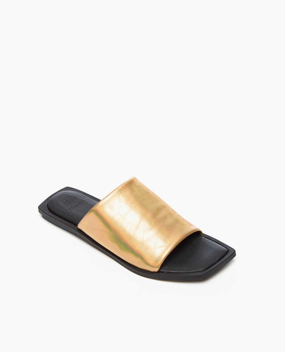 A sleek, black flat sandal with a wide, metallic gold strap across the top, featuring a square toe and a minimalist design.