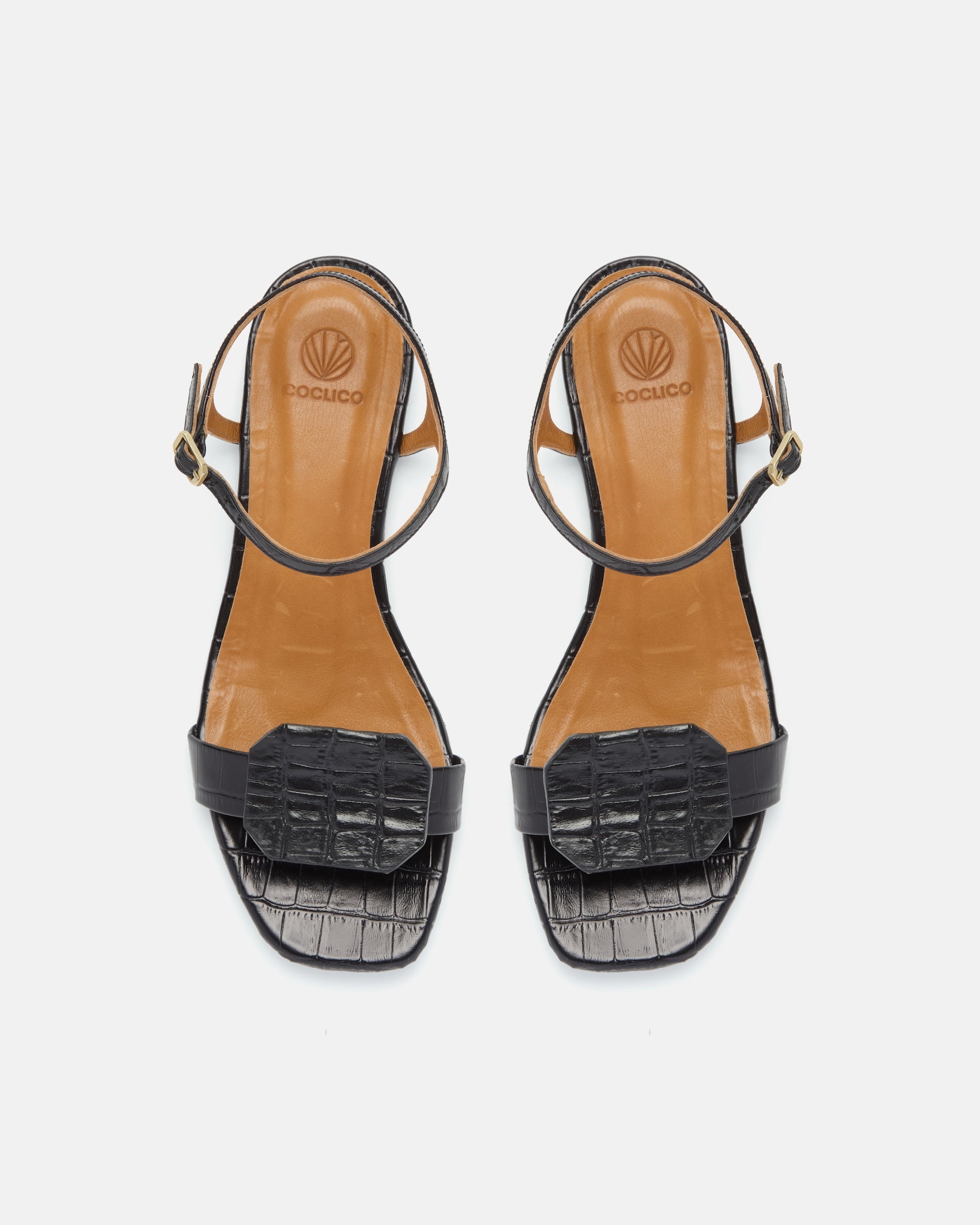 Top view of a black croc-embossed leather flat sandal with a slim ankle strap and a octagonal accent on the front strap, square toe, on a white background.