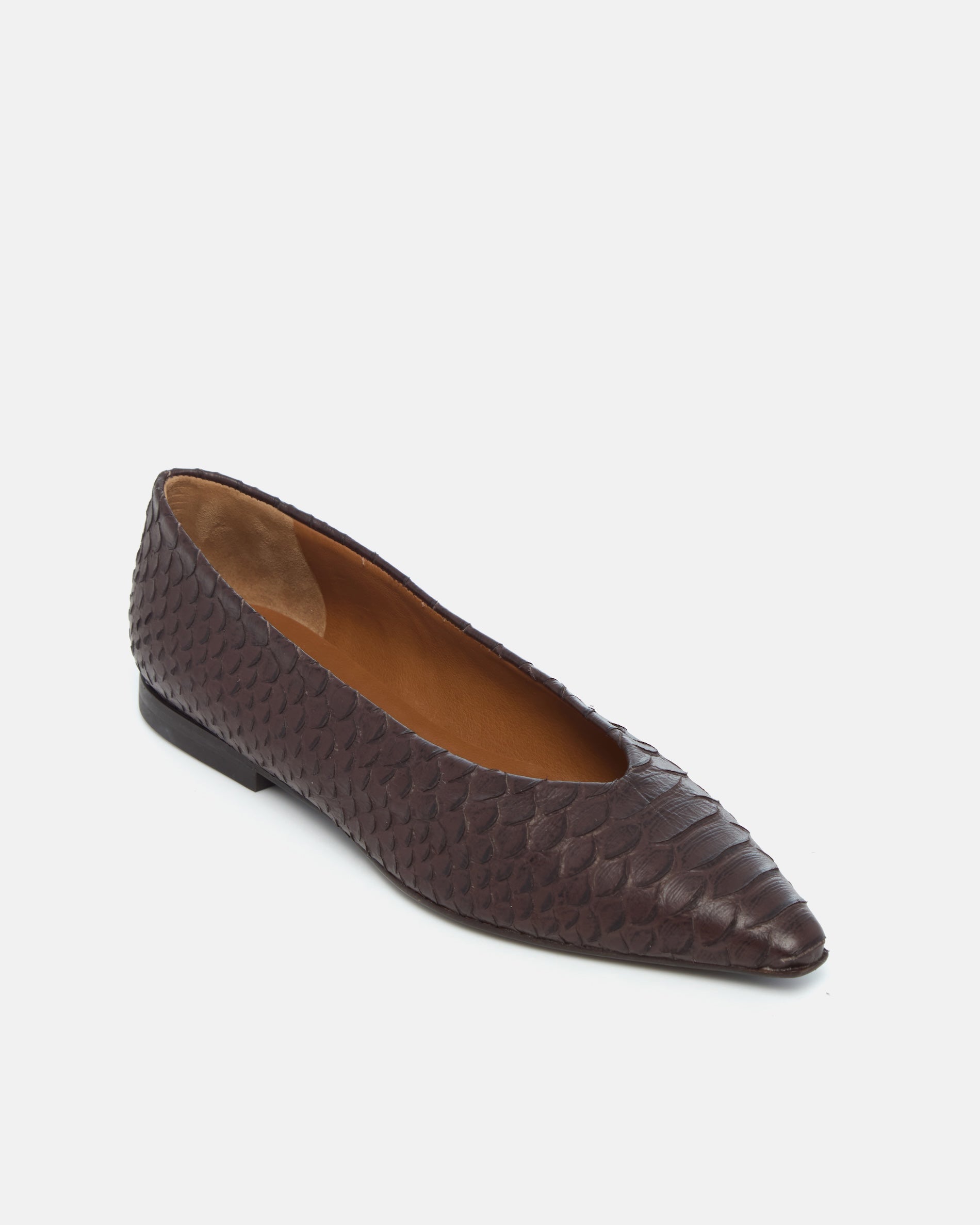 Coclico Cabnal Ballet Flat in brown snake embossed leather, angled view of the pointed toe