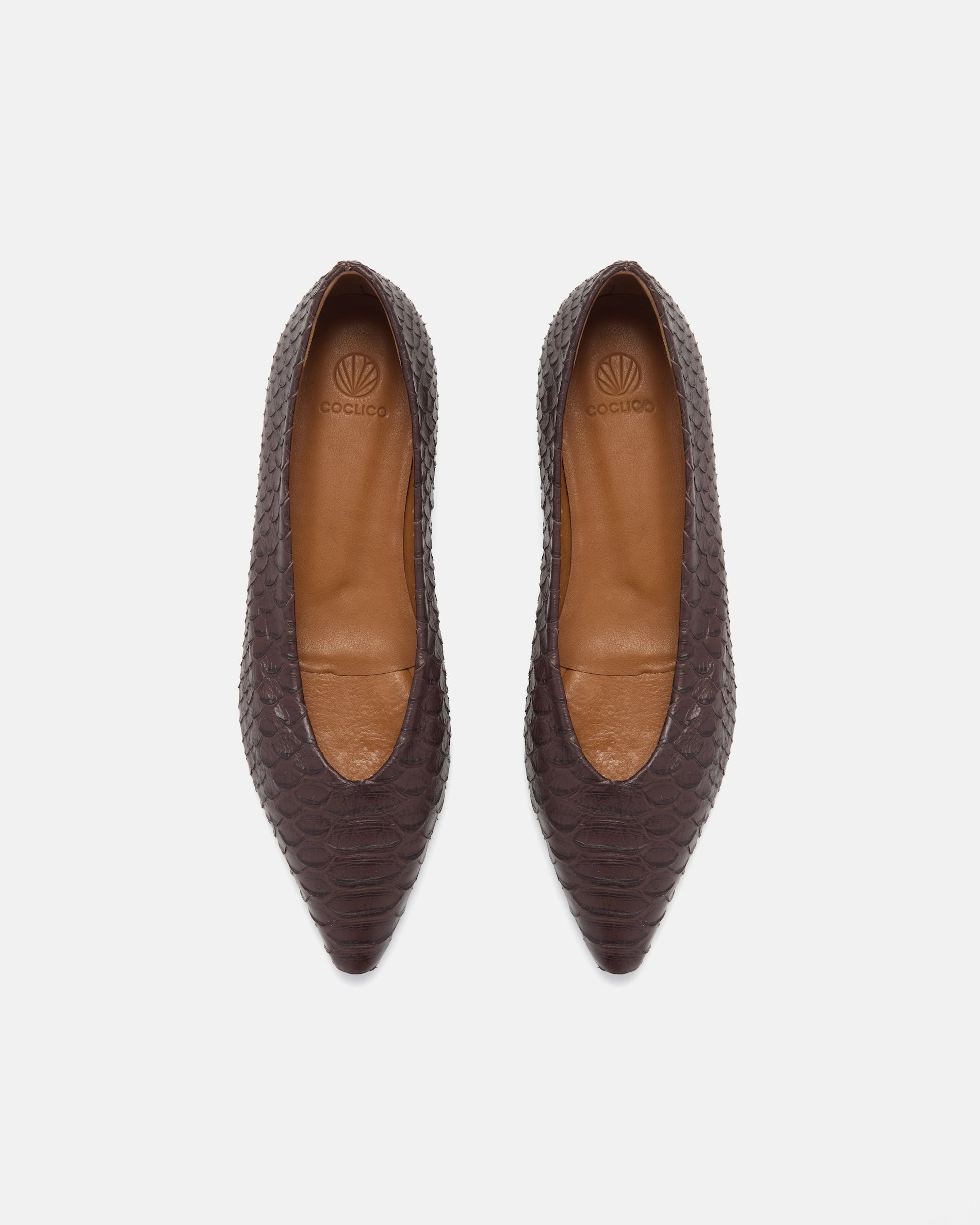 Pair of Coclico Cabnal Ballet Flats in brown snake embossed leather, top view