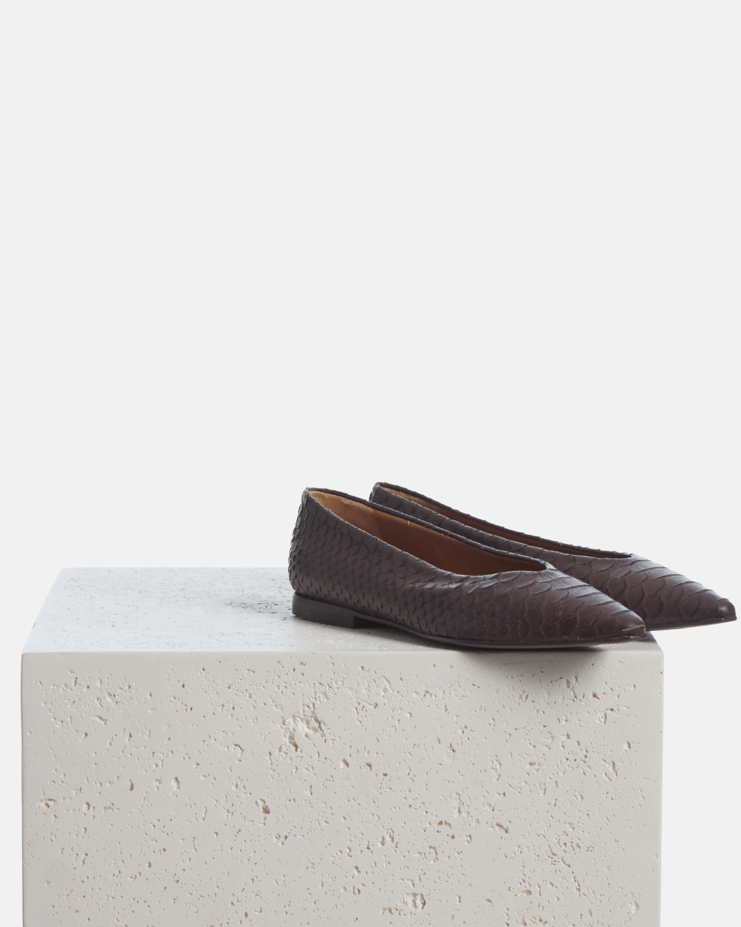 Coclico Cabnal Ballet Flat in brown snake embossed leather, pointed toe flats styled on a stone plinth