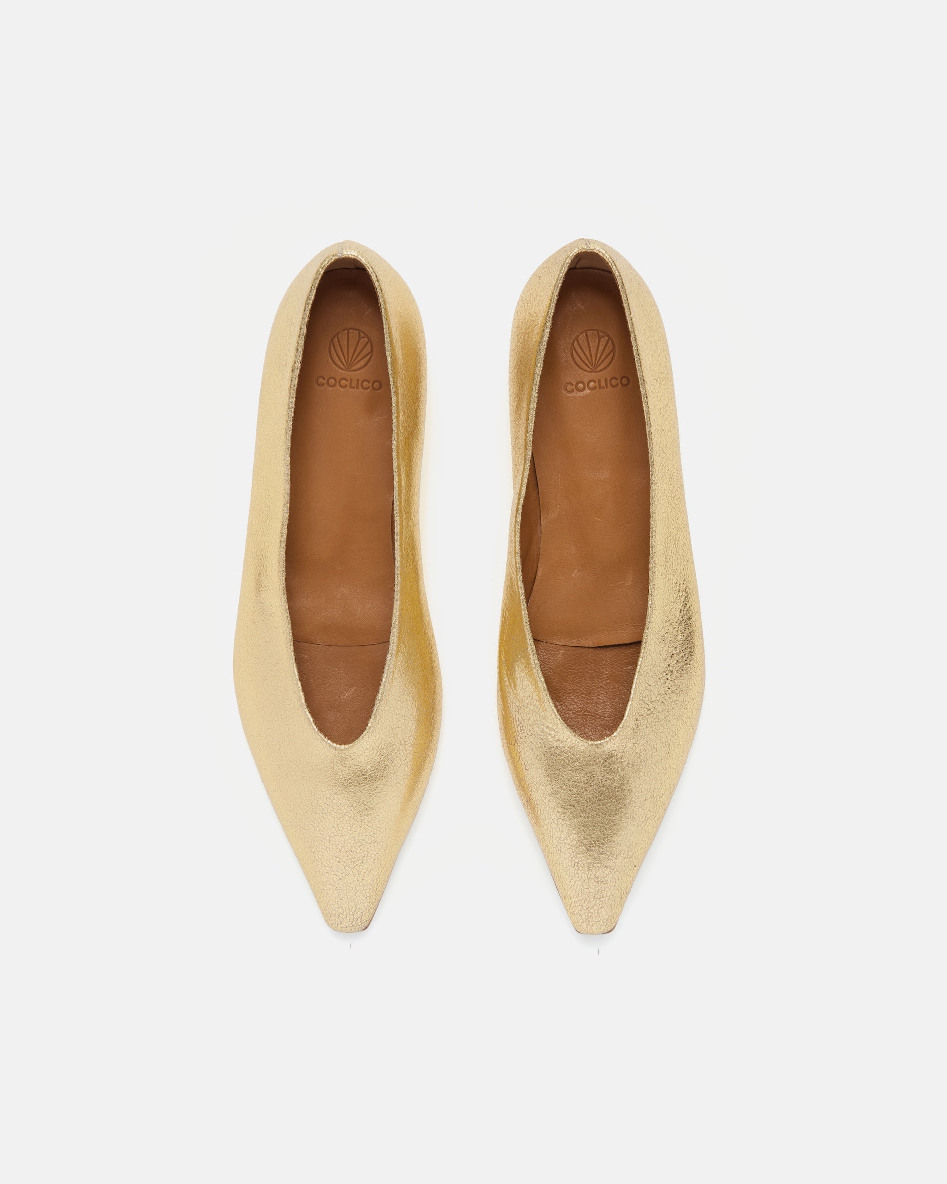 Top view of a shimmering gold leather pointed-toe flat with clean lines and a flexible leather sole, on a white background.
