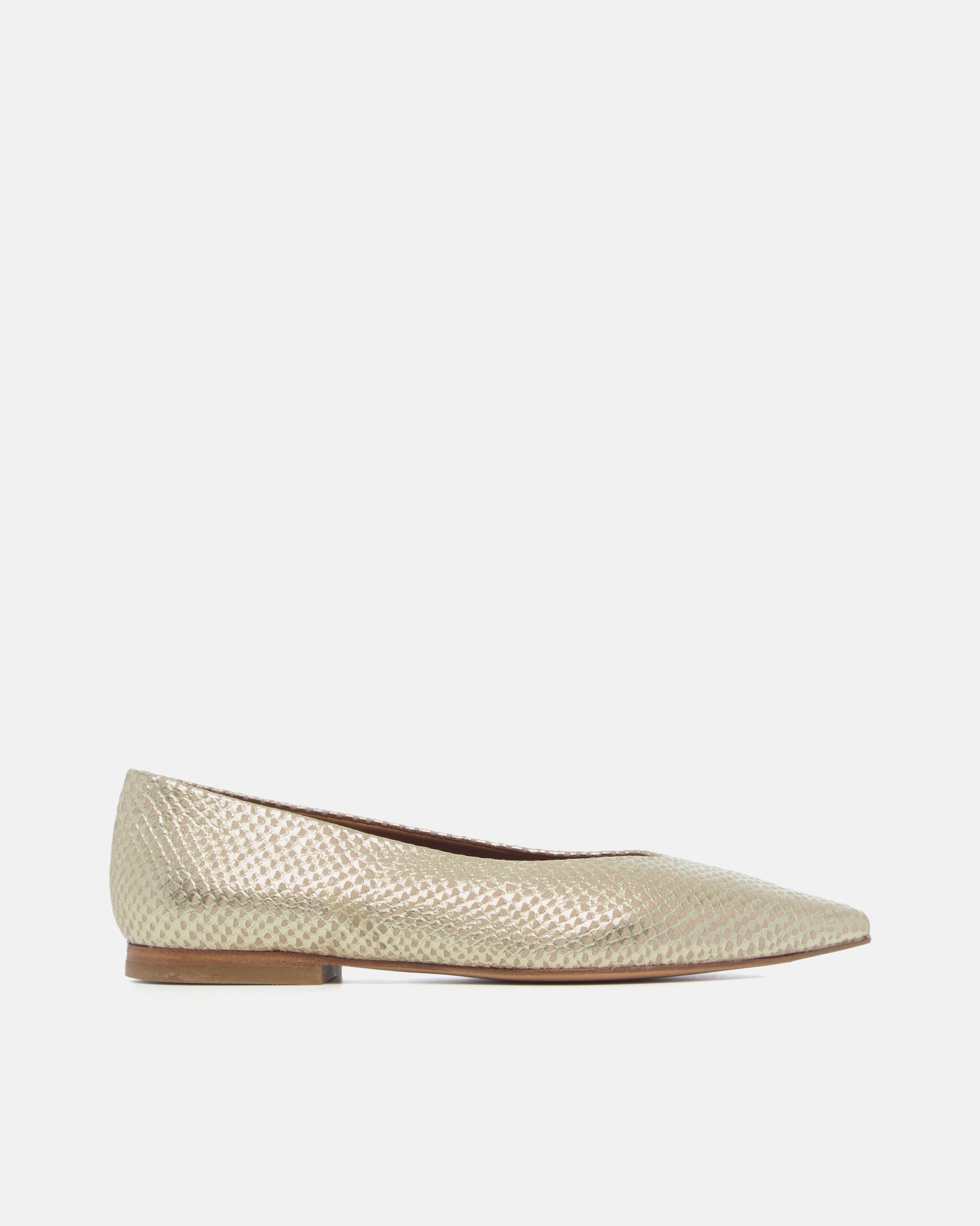 WHOLESALE Cabnal Ballet Flat