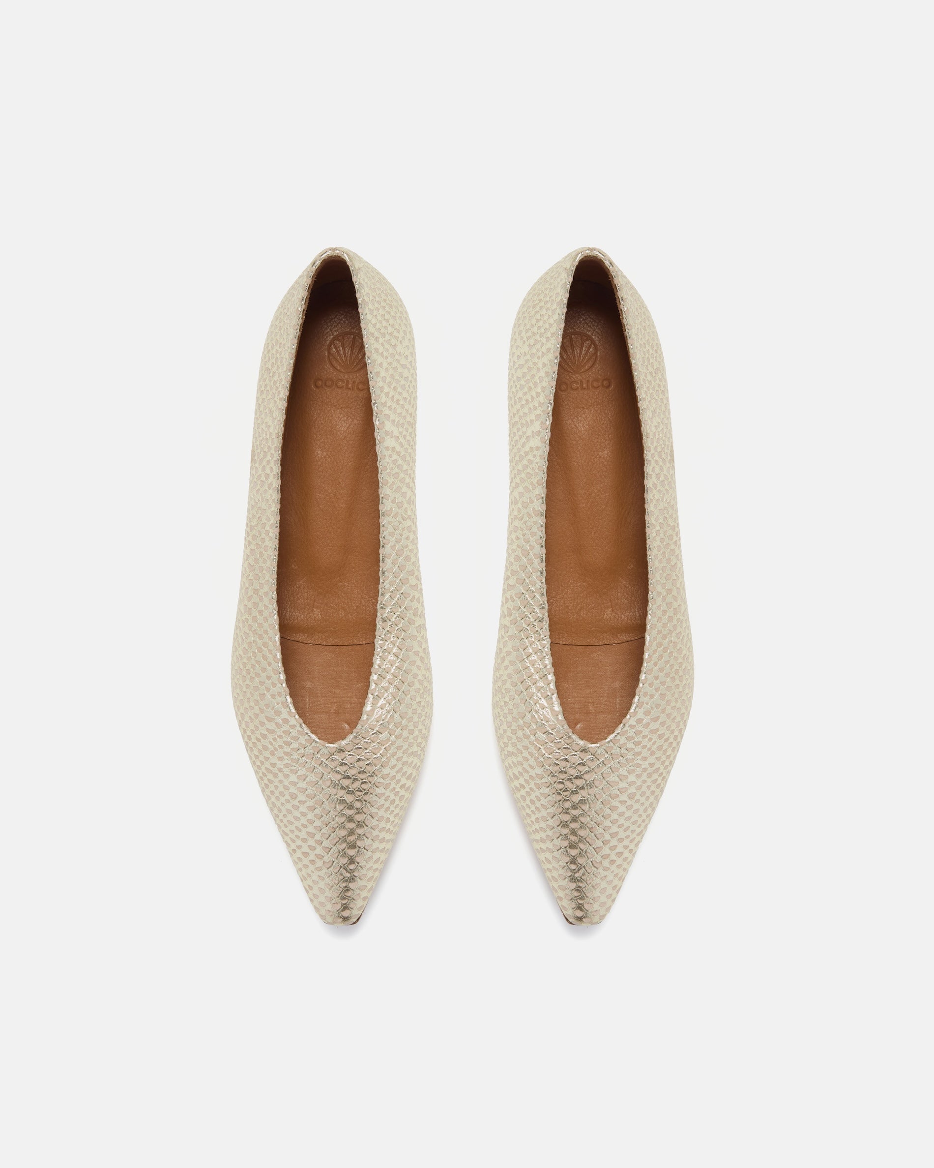WHOLESALE Cabnal Ballet Flat