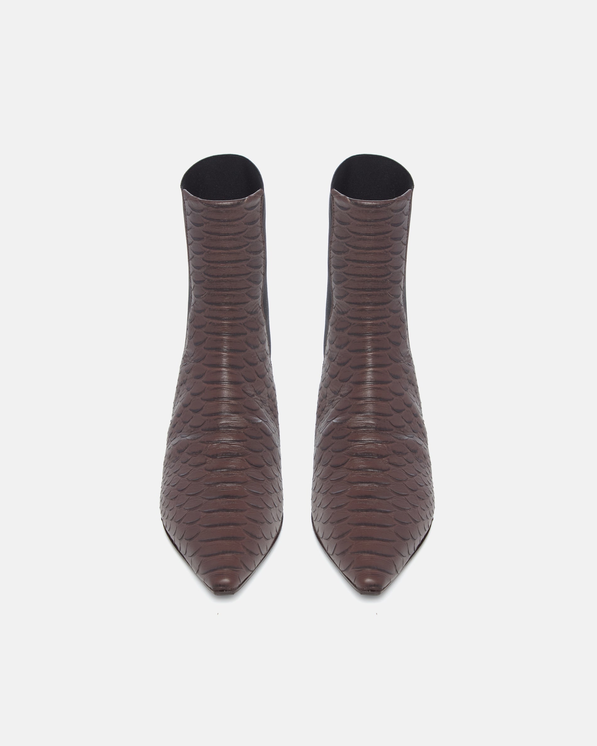 Pair of Coclico Cad Boots in brown snake embossed leather, front view of pointed toe ankle boots