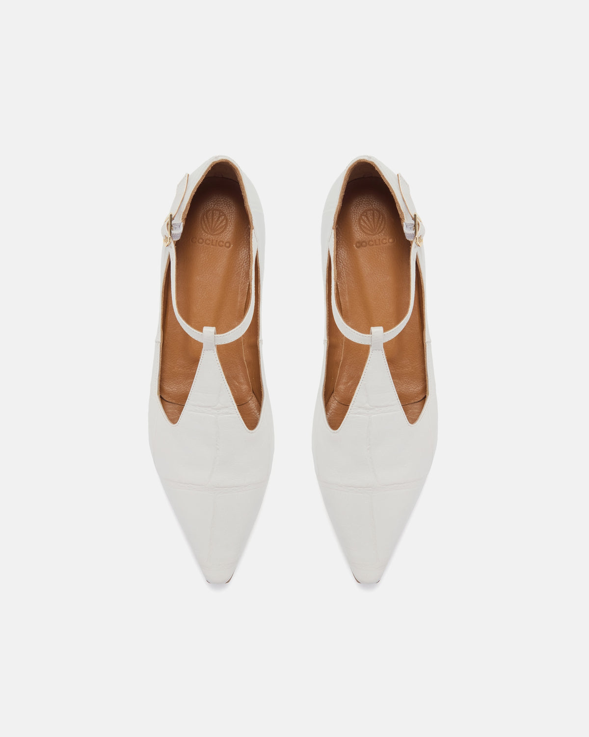 WHOLESALE Celeste T-Strap Flat