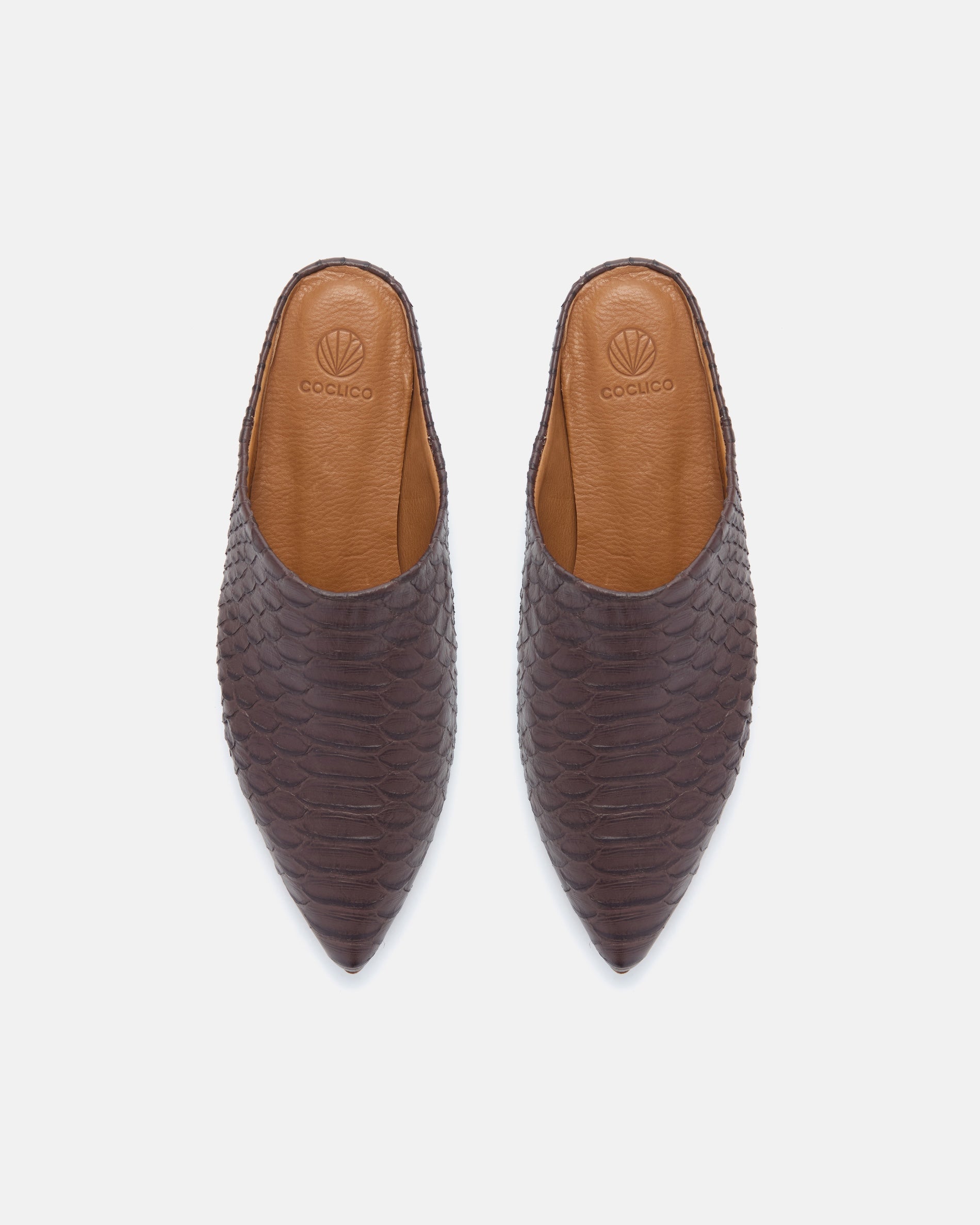 Pair of Coclico Danke Slides in brown snake embossed leather, top view of pointed toe mules