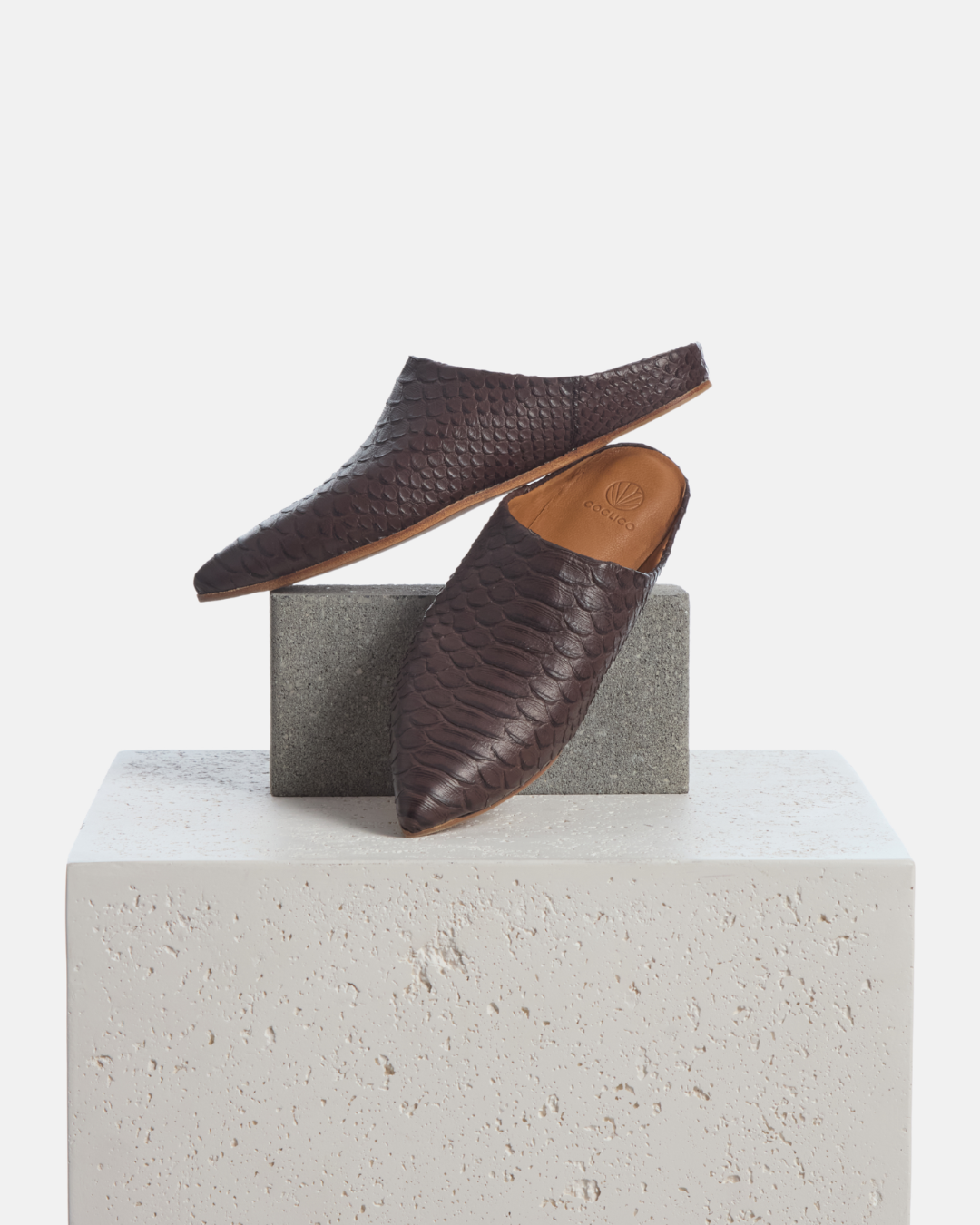 Coclico Danke Slide in brown snake embossed leather, pointed toe mules styled on a stone plinth