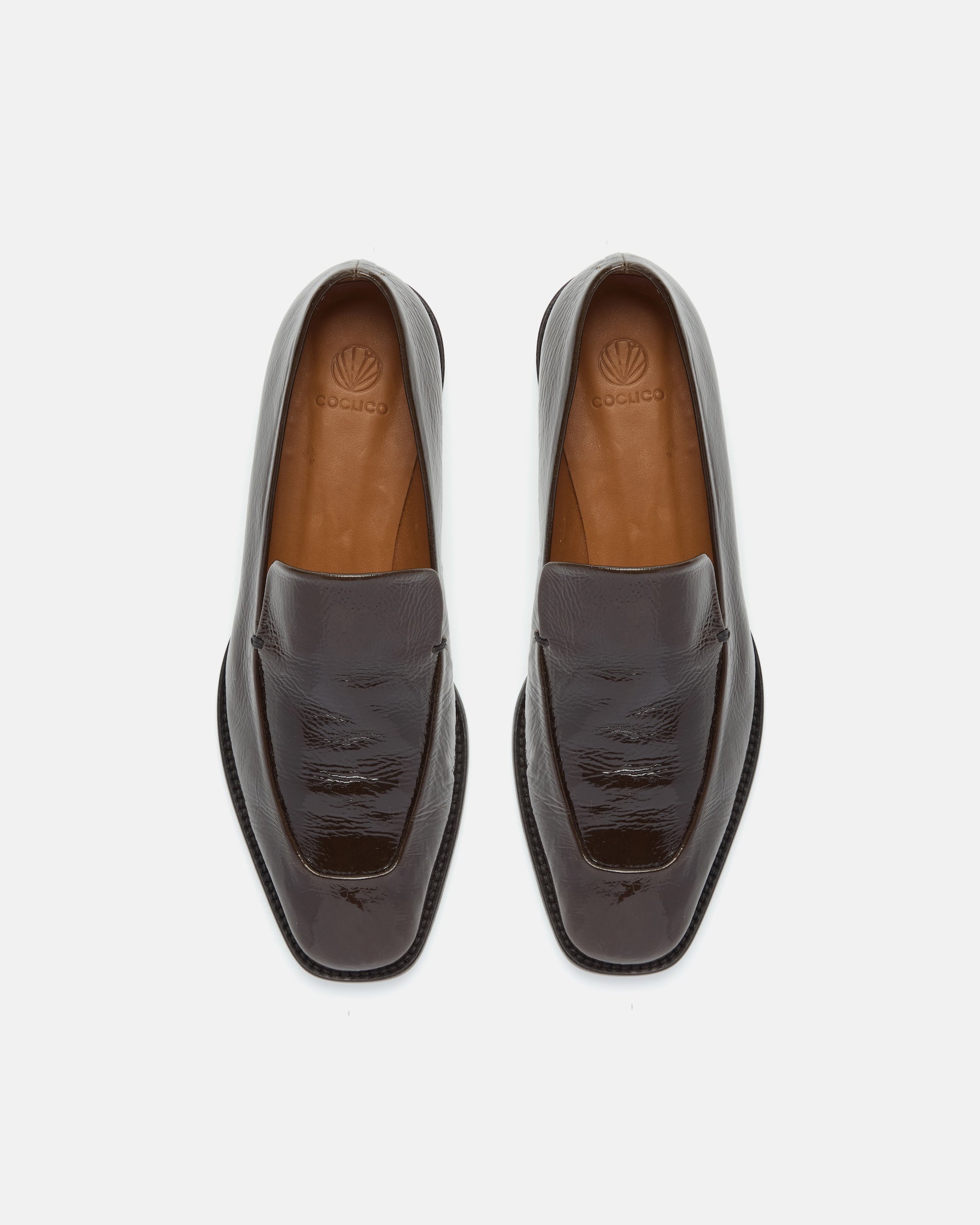 Pair of Coclico Halyn Loafers in Moule crinkled patent leather, top view