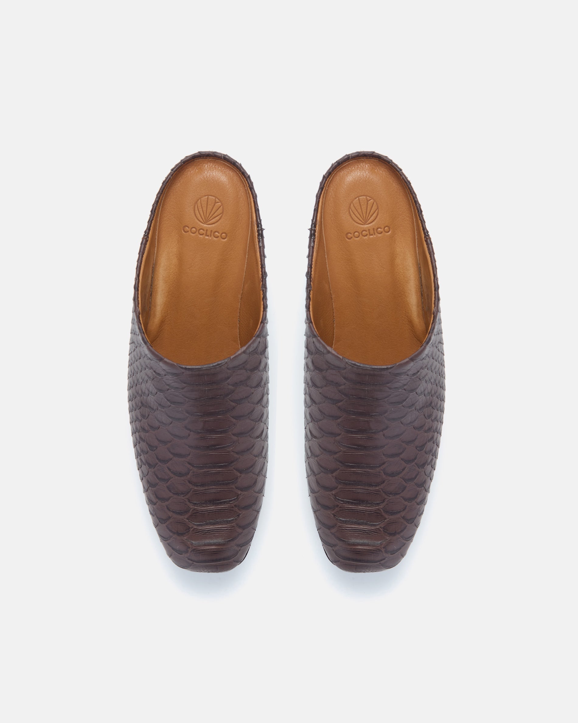 Pair of Coclico Quilla Clogs in espresso snake embossed leather, top view of closed toe clog mules