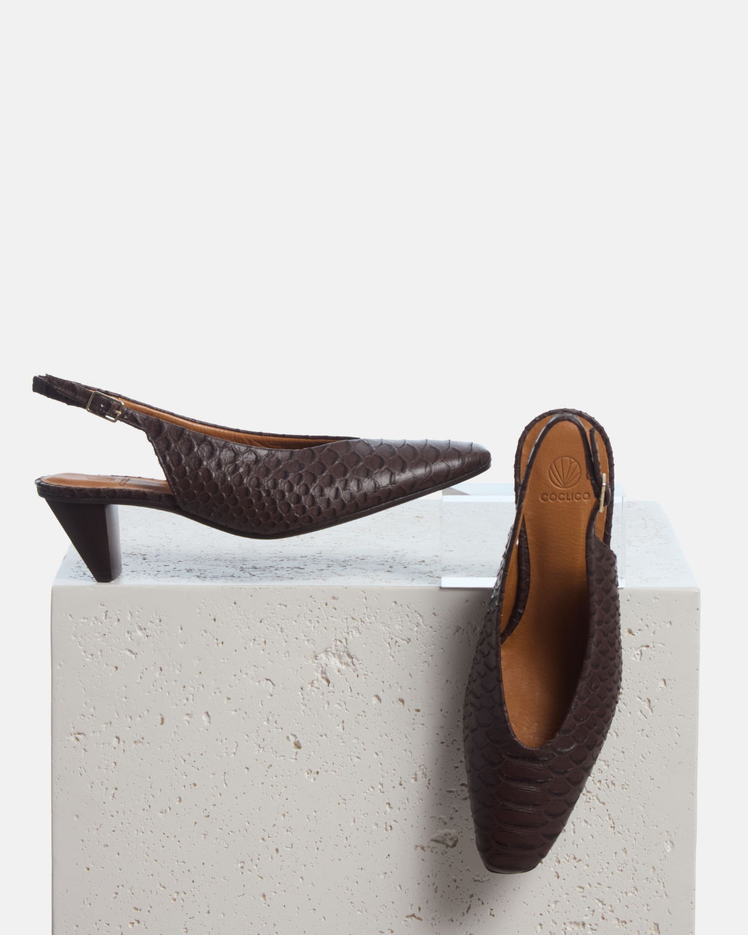 Coclico Sontag Slingback Pump in brown snake embossed leather, slingbacks with cone heels styled on a stone plinth