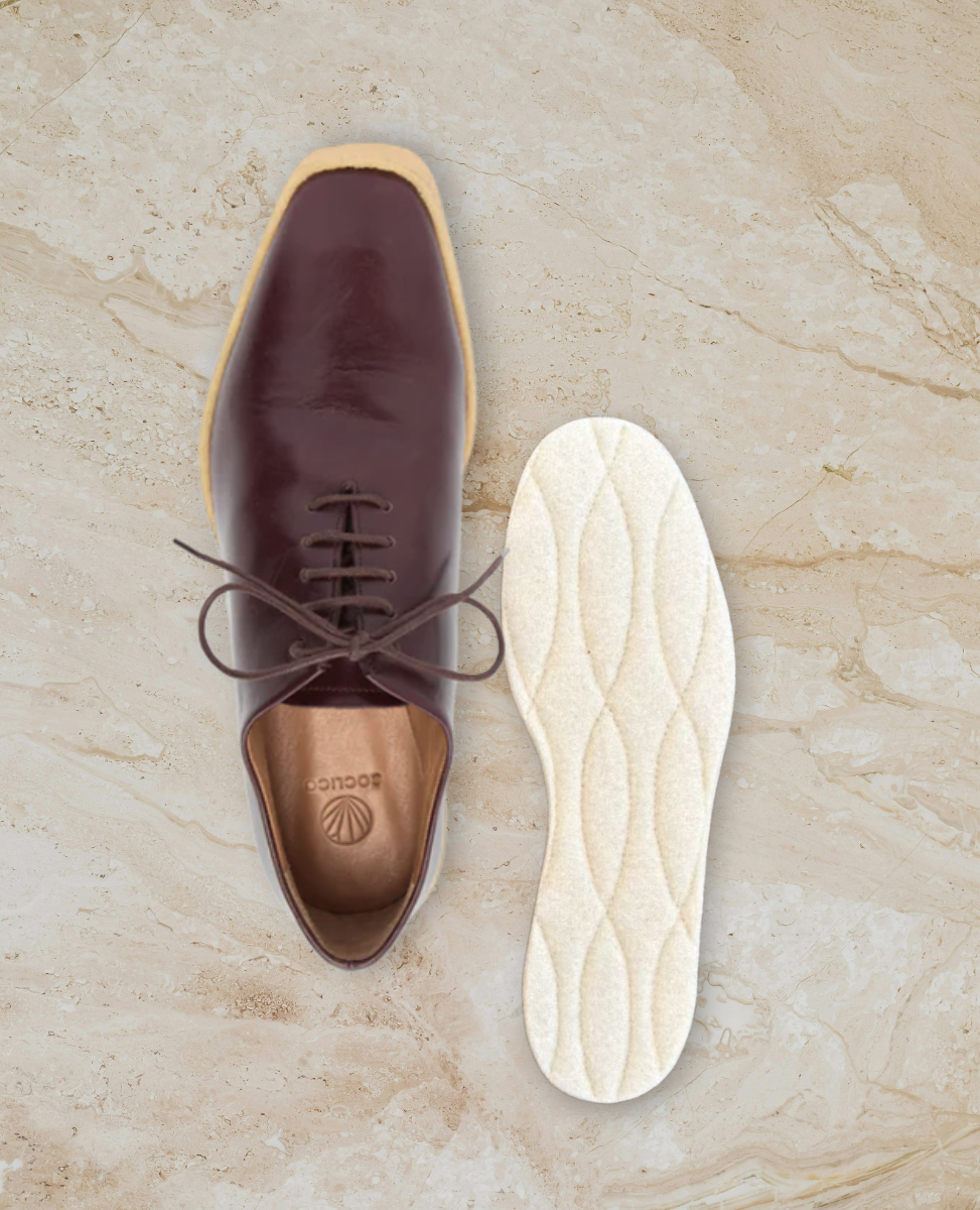 Burgundy oxford shoe and warm insole on stone