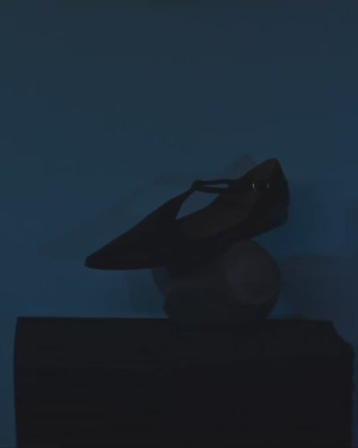 Coclico Celeste T-strap ballet flat in the spot light
