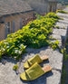 The Ferhana sandals on an ivy covered rooftop edge in France. 3