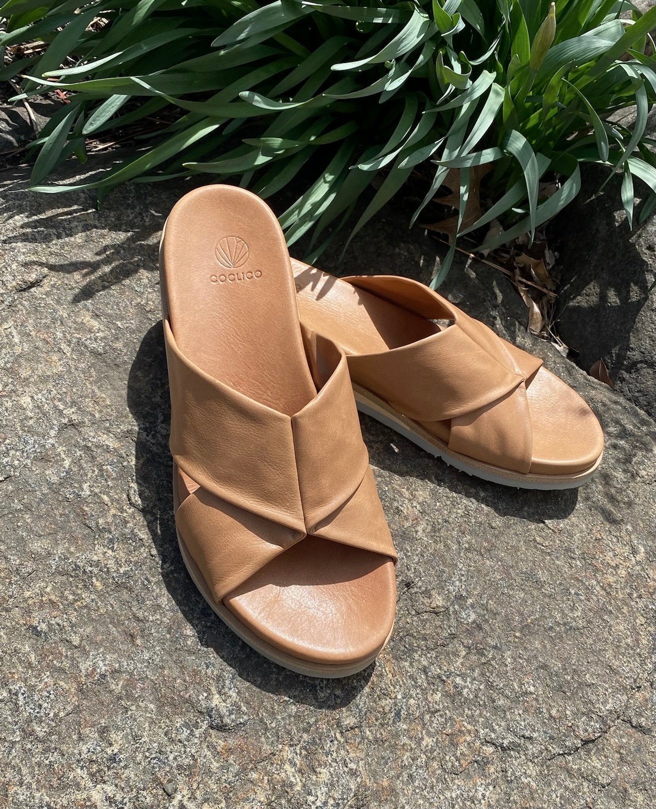 Close up of Coclico Pasque Sandal in Mandorla  leather: a low pine wedge slide sandal, intertwined leather tube straps across foot, gum-rubber sole - on cement with plants in background. 