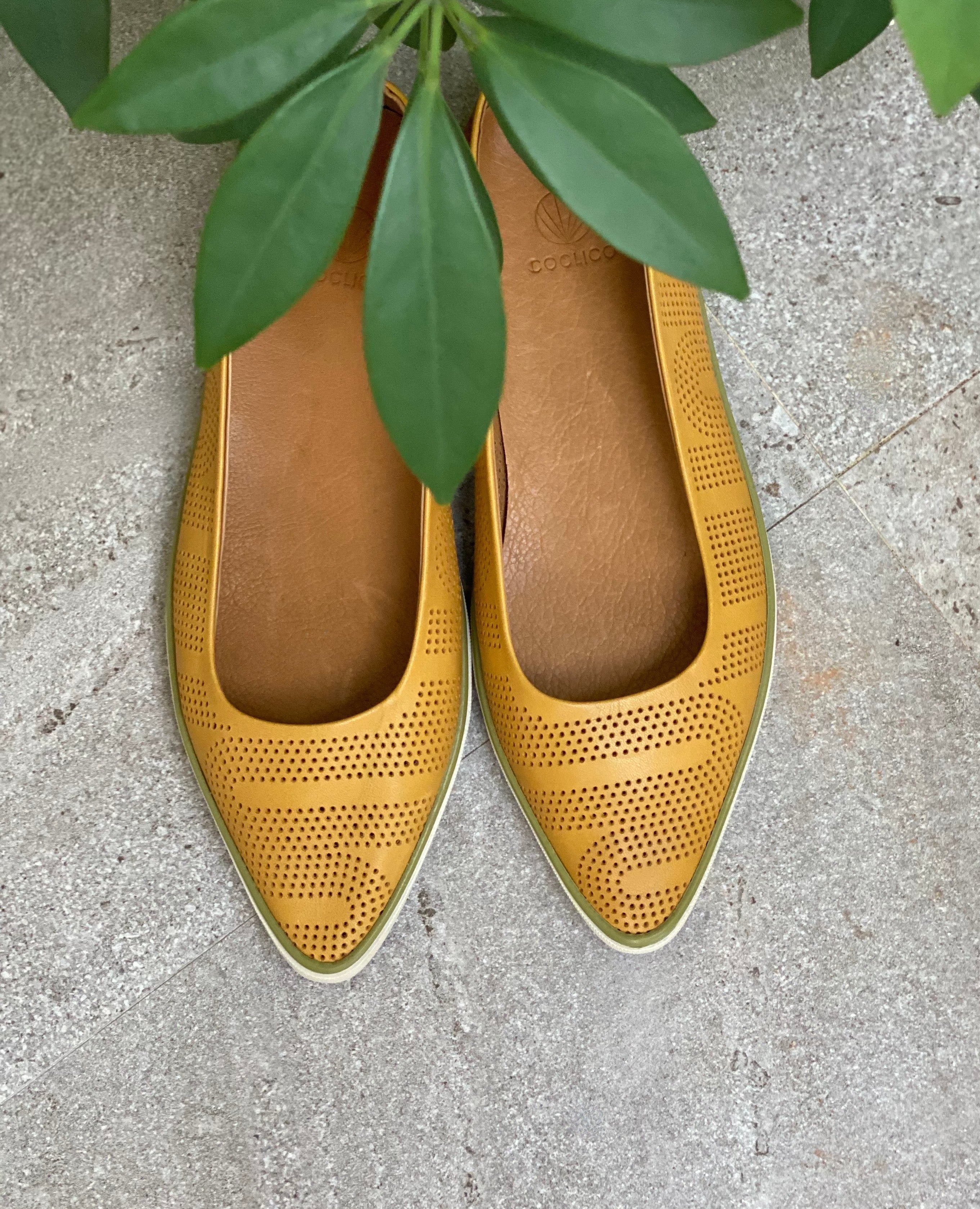 Close up, top view shot the Coclico Usha Sneaker in Ambra Perfed leather with a plant covering the heels. 